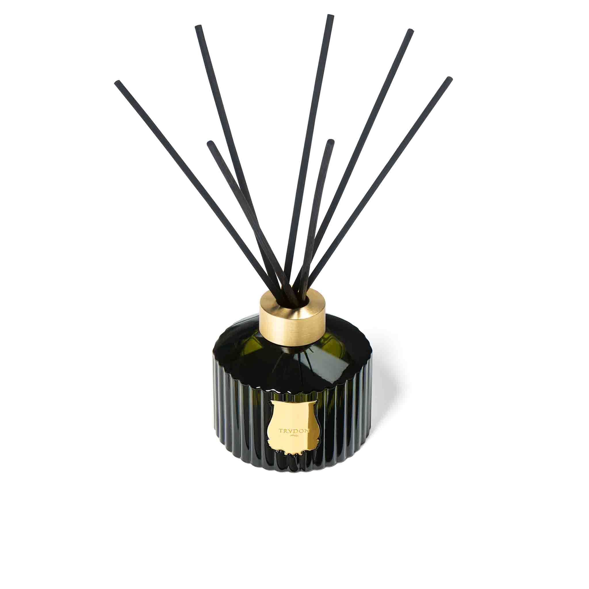 Abd el Kader The Great Diffuser - Trudon