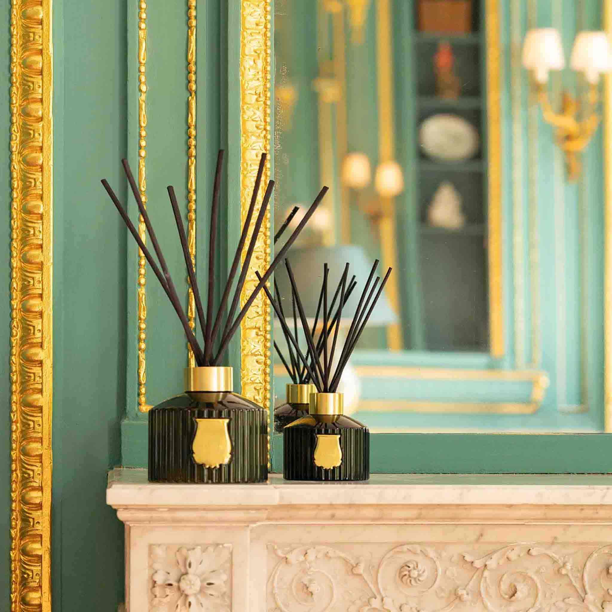 Abd el Kader The Great Diffuser - Trudon - Image 2
