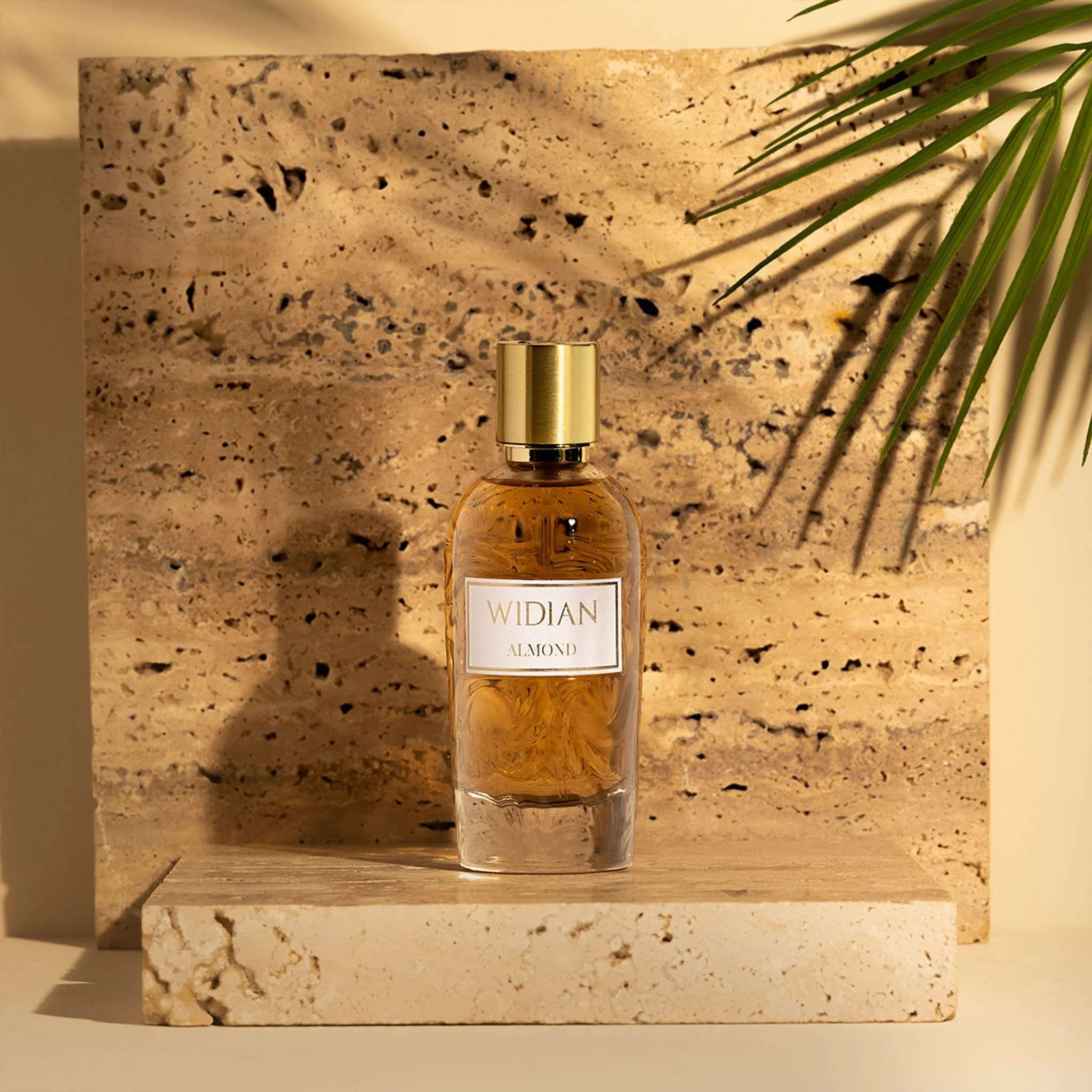 Almond - Widian by AJ Arabia - Image 4