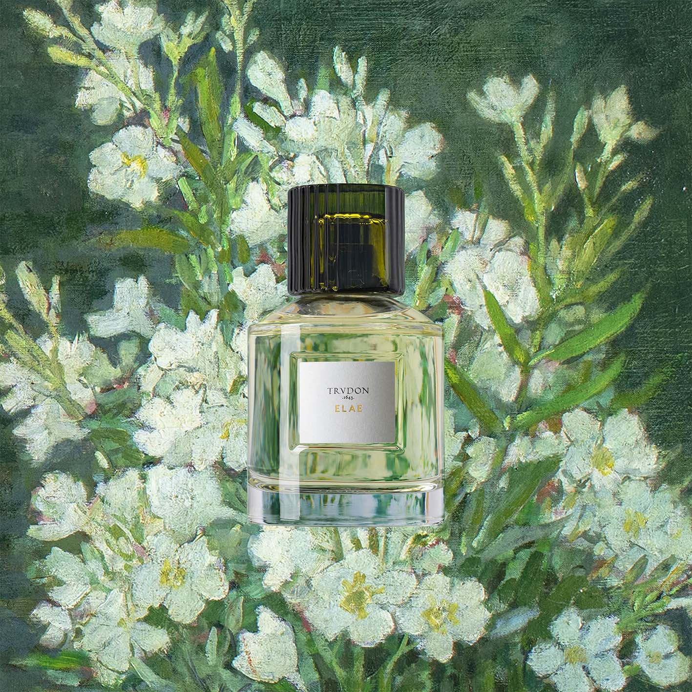 Elae - Trudon - Image 3