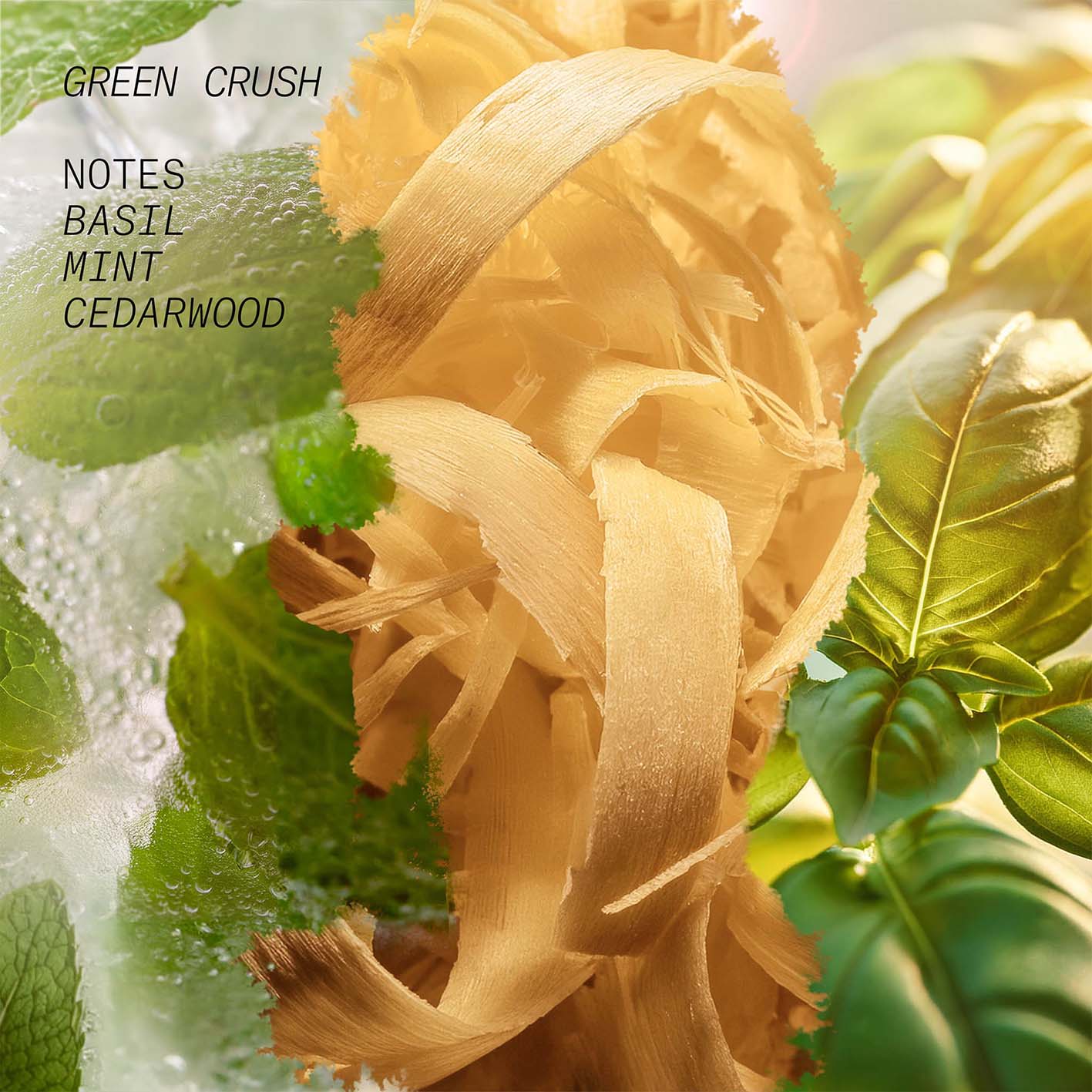 Green Crush - L'Atelier Parfum - Image 3