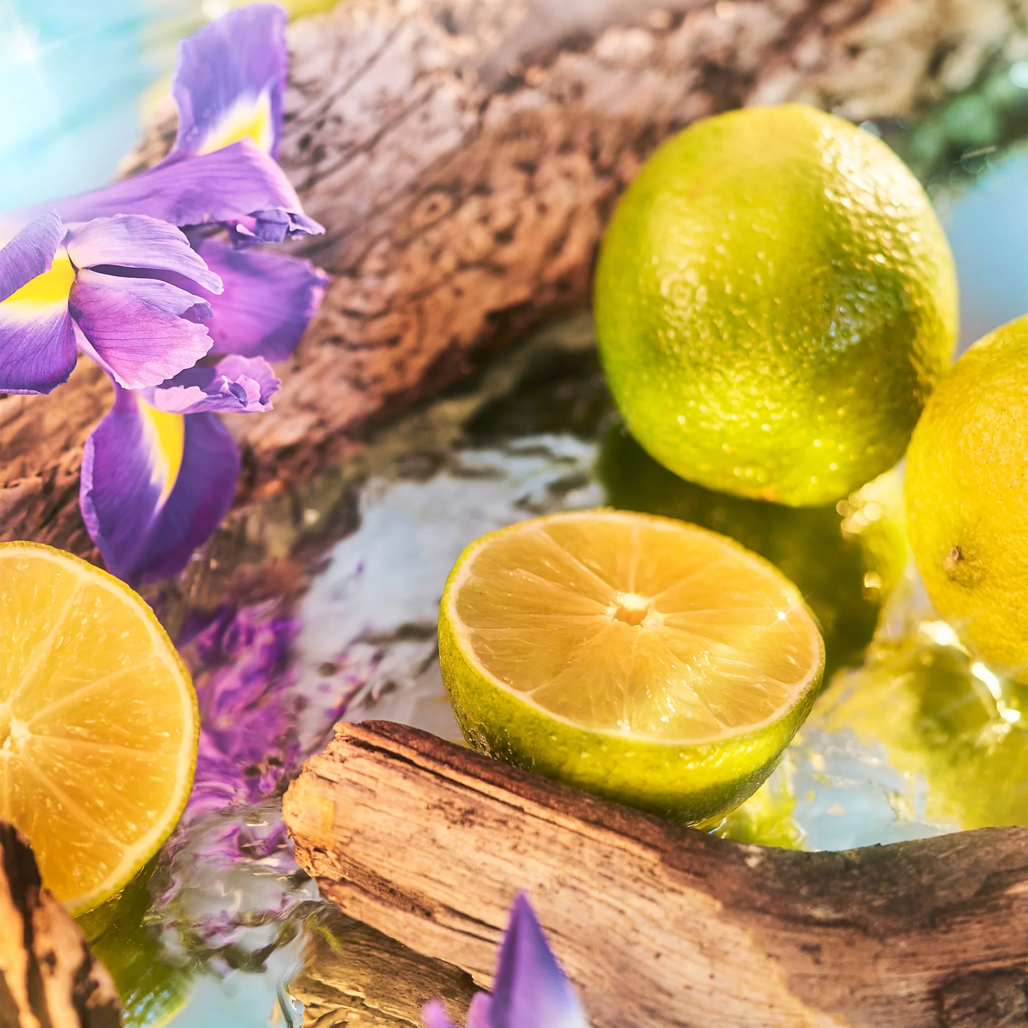 Oceania Parfum - Roja Parfums - Image 4