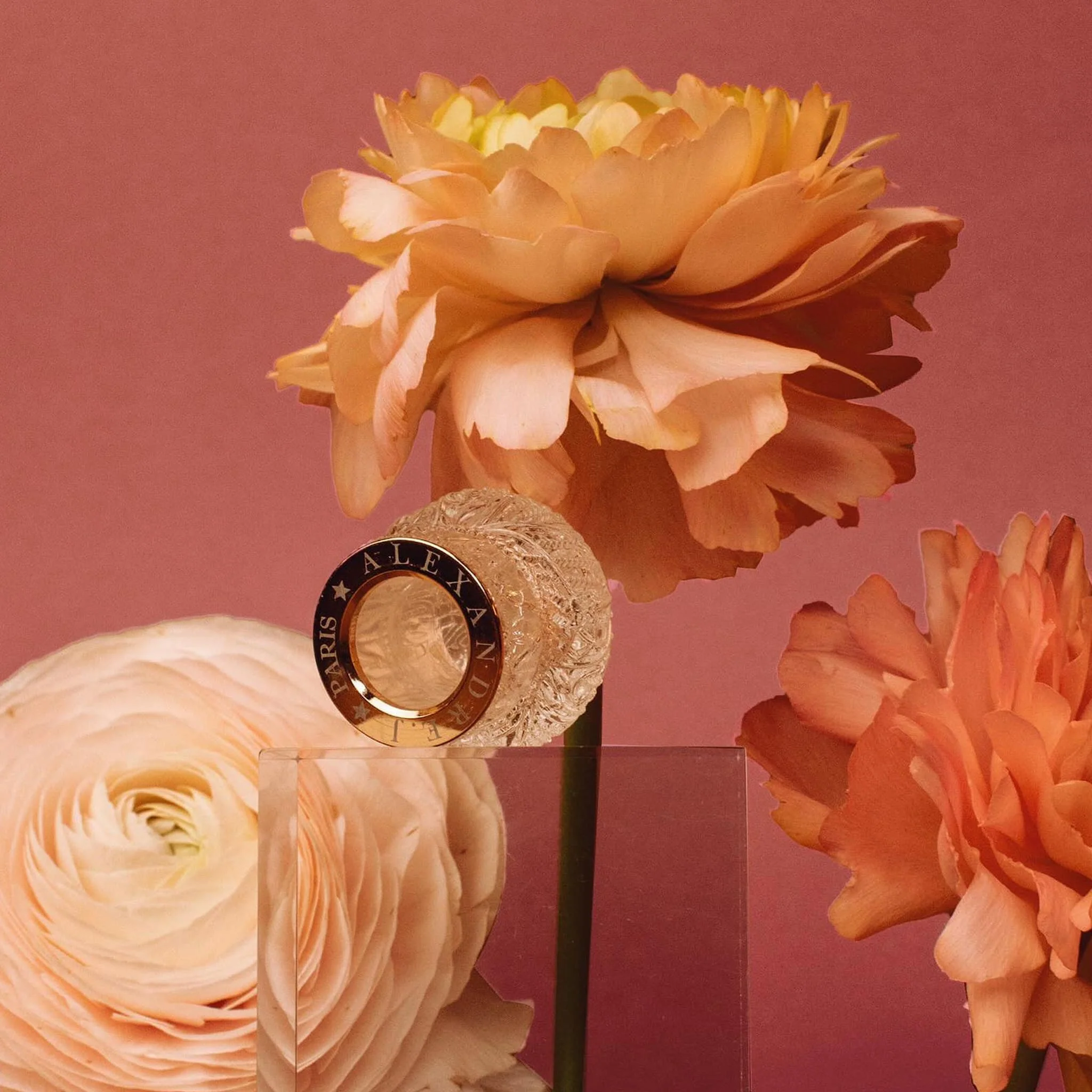 Ode to Rose - Alexandre.J - Image 3