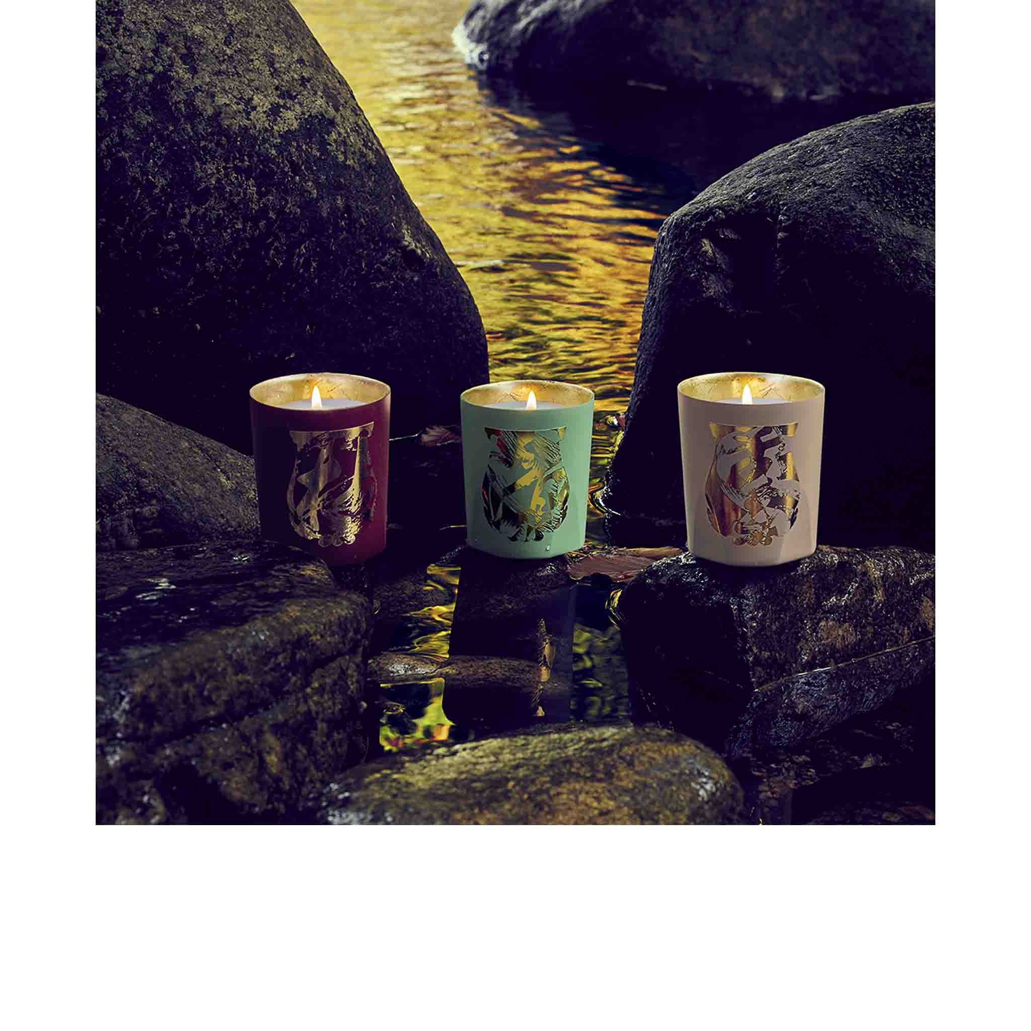 Sous un Ciel de Pétale Bougie - Trudon - Image 5