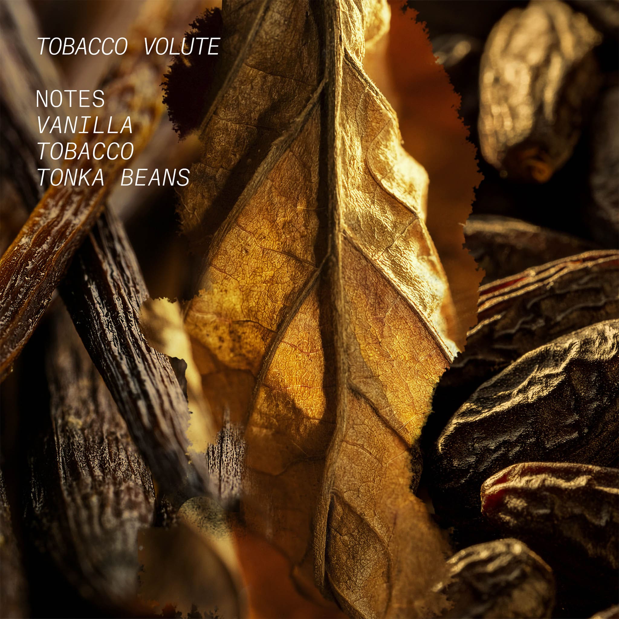 Tobacco Volute Hair and Body Mist- L'Atelier Parfum - Image 3
