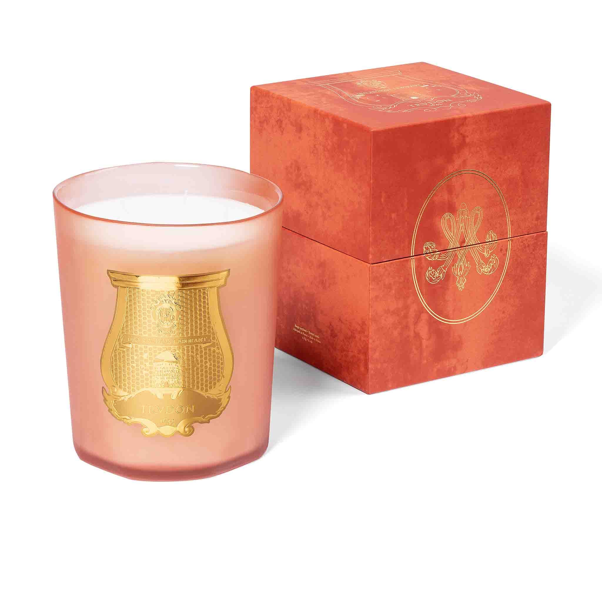 Tuileries Bougie - Trudon - Image 9